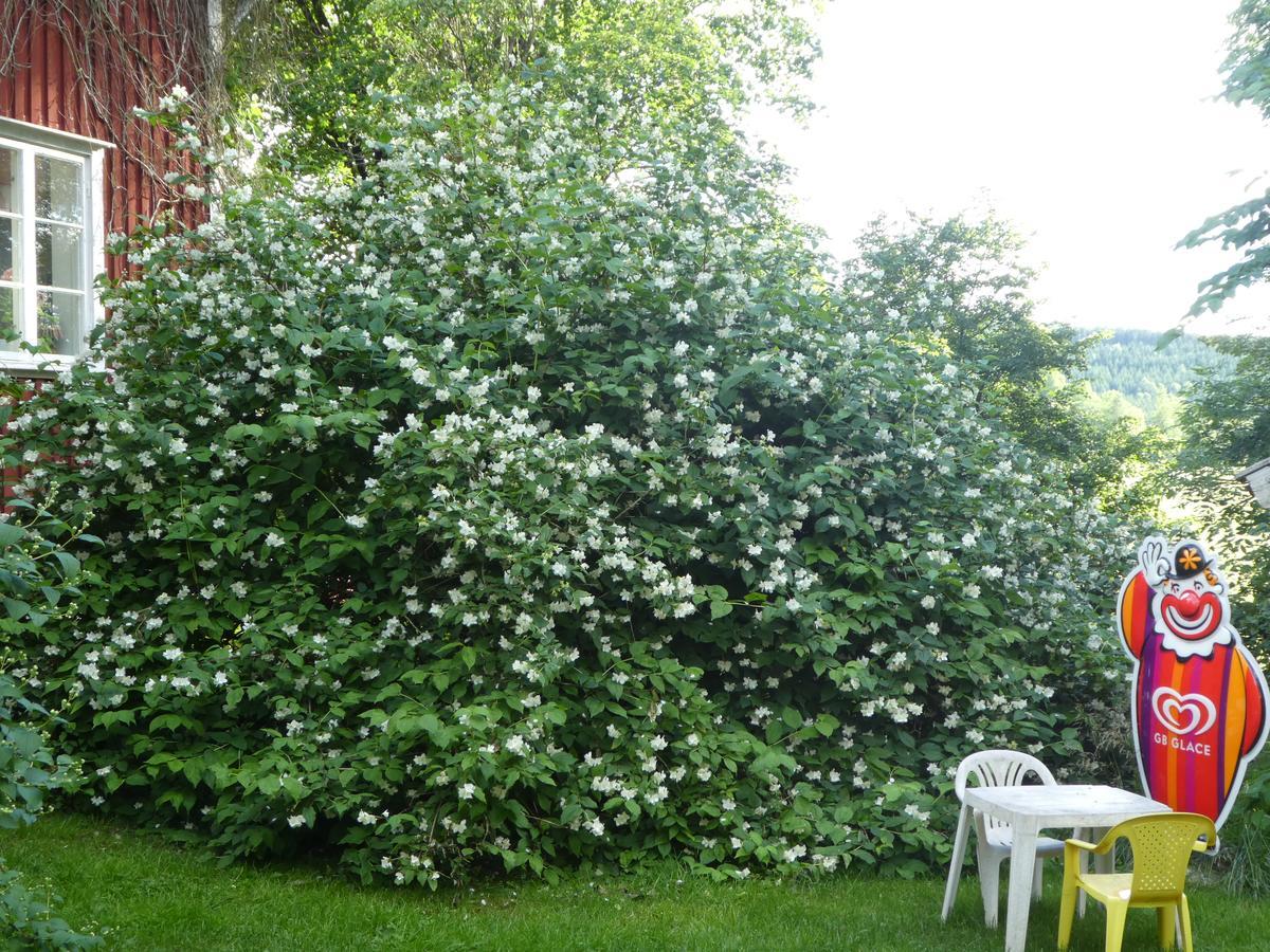 Praestmyrens Vandrarhem Ransater Bagian luar foto